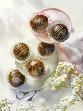 JAN C. BRETTSCHNEIDER