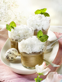 JAN C. BRETTSCHNEIDER