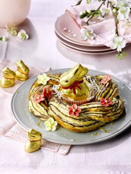 JAN C. BRETTSCHNEIDER