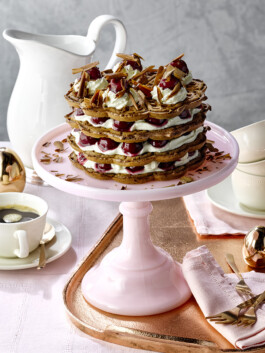 JAN C. BRETTSCHNEIDER