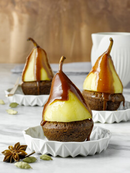 JAN C. BRETTSCHNEIDER