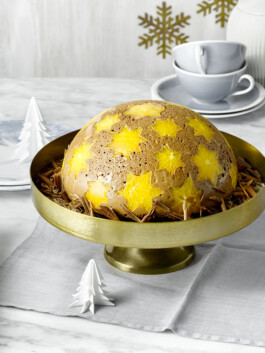 JAN C. BRETTSCHNEIDER