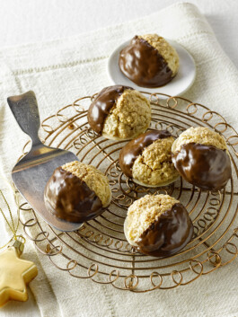 JAN C. BRETTSCHNEIDER