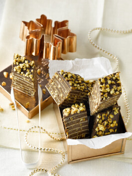 JAN C. BRETTSCHNEIDER