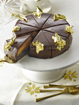 JAN C. BRETTSCHNEIDER