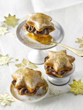 JAN C. BRETTSCHNEIDER