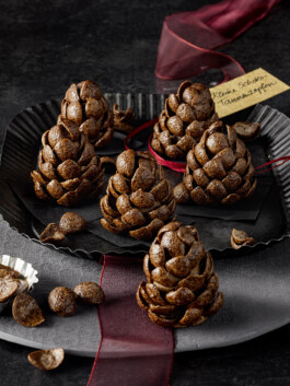 JAN C. BRETTSCHNEIDER