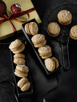 JAN C. BRETTSCHNEIDER