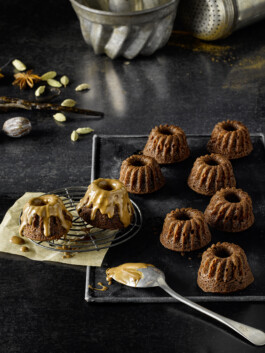 JAN C. BRETTSCHNEIDER