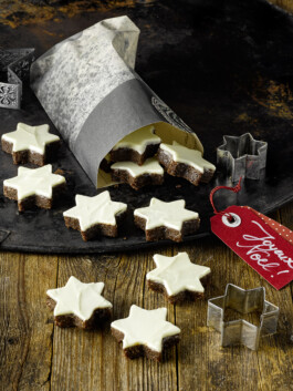 JAN C. BRETTSCHNEIDER