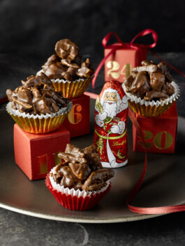 JAN C. BRETTSCHNEIDER