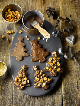 JAN C. BRETTSCHNEIDER