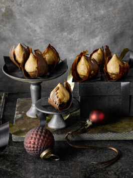 JAN C. BRETTSCHNEIDER