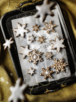 JAN C. BRETTSCHNEIDER