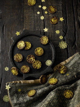 JAN C. BRETTSCHNEIDER