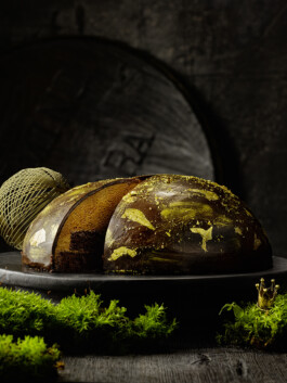 JAN C. BRETTSCHNEIDER