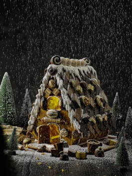 JAN C. BRETTSCHNEIDER