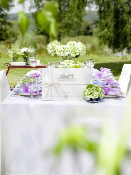 JAN C. BRETTSCHNEIDER