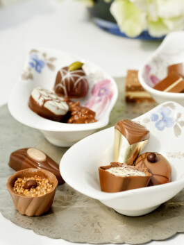 JAN C. BRETTSCHNEIDER