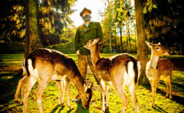 JAN C. BRETTSCHNEIDER