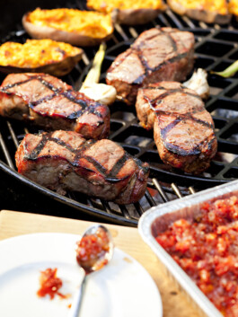 JAN C. BRETTSCHNEIDER