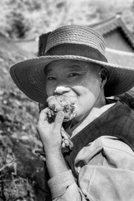 JAN C. BRETTSCHNEIDER