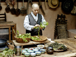 JAN C. BRETTSCHNEIDER