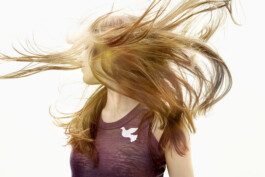 JAN C. BRETTSCHNEIDER