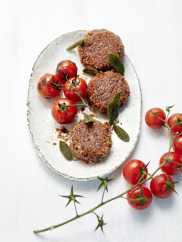 JAN C. BRETTSCHNEIDER