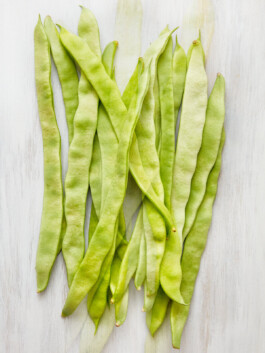 JAN C. BRETTSCHNEIDER