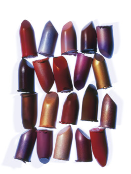 JAN C. BRETTSCHNEIDER