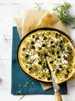 JAN C. BRETTSCHNEIDER