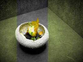 JAN C. BRETTSCHNEIDER