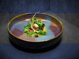 JAN C. BRETTSCHNEIDER