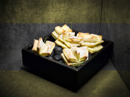 JAN C. BRETTSCHNEIDER