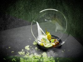 JAN C. BRETTSCHNEIDER