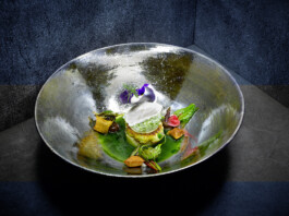 JAN C. BRETTSCHNEIDER