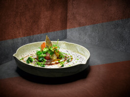 JAN C. BRETTSCHNEIDER