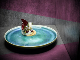 JAN C. BRETTSCHNEIDER