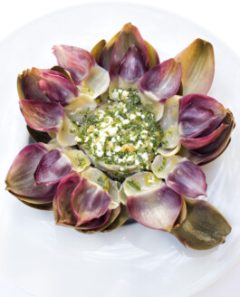 JAN C. BRETTSCHNEIDER