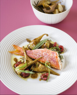 JAN C. BRETTSCHNEIDER