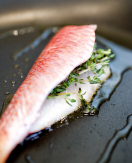 JAN C. BRETTSCHNEIDER