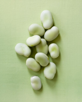 JAN C. BRETTSCHNEIDER