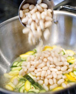 JAN C. BRETTSCHNEIDER