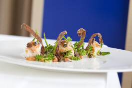 JAN C. BRETTSCHNEIDER