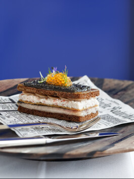 JAN C. BRETTSCHNEIDER