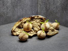 JAN C. BRETTSCHNEIDER