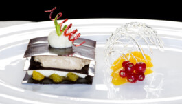 JAN C. BRETTSCHNEIDER