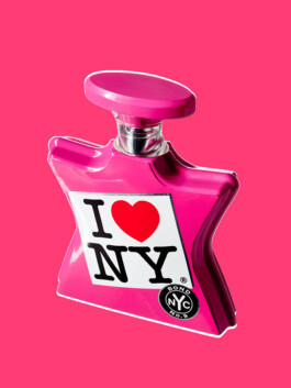 JAN C. BRETTSCHNEIDER