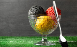 JAN C. BRETTSCHNEIDER